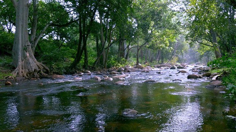 River Pambar inside Chinnar Wildlife Sanctuary | Chinnar