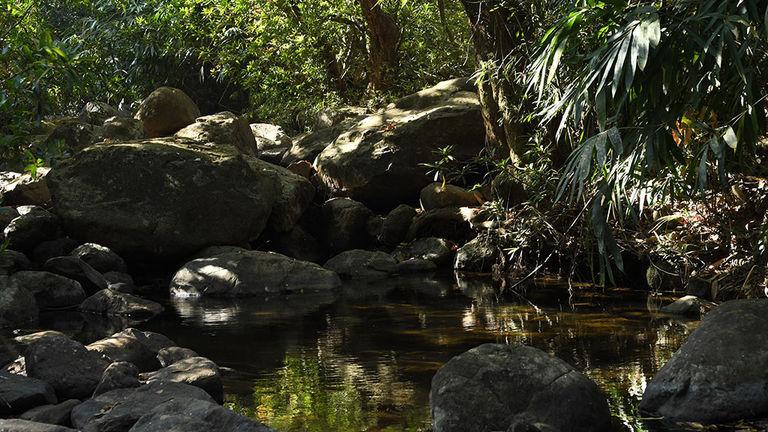 Round-shaped boulders at Kallar | Ponmudi