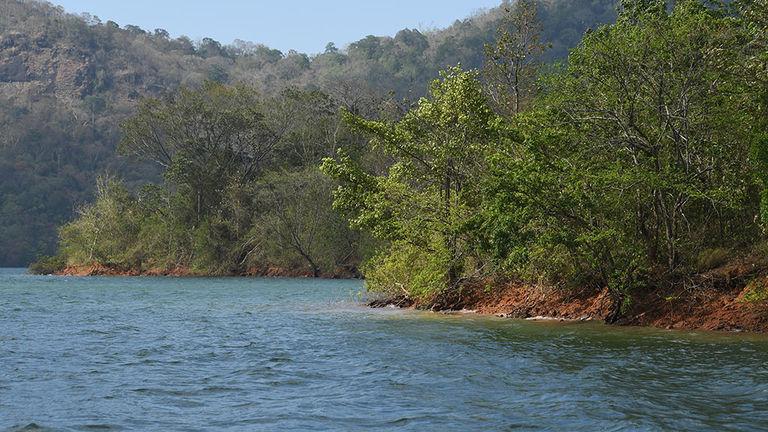 Shenduruny River and forest | Thenmala - Shenduruny