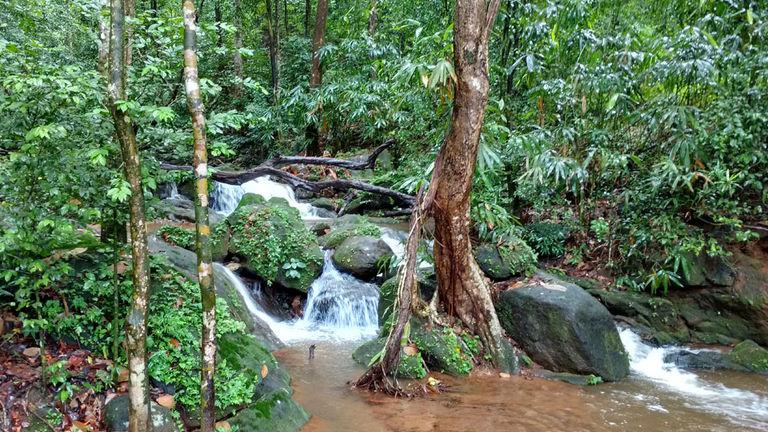 Small rivulet at Thommankuthu | Thommankuthu