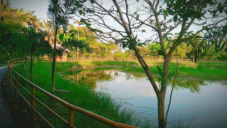 Suvarnodyanam Biological Ecotourism Park | Abhayaranyam