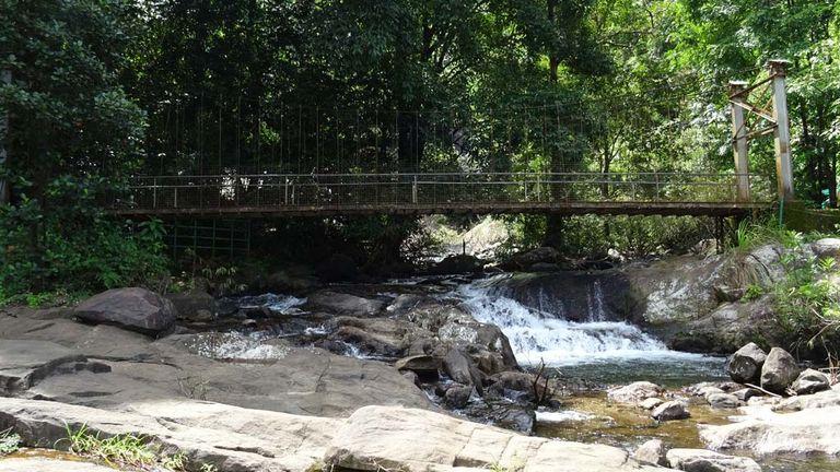 Thusharagiri and the hanging bridge | Thusharagiri