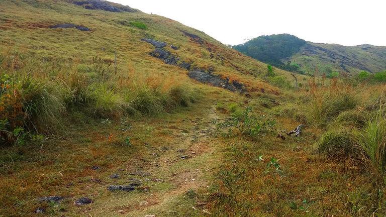 Valleys of Ponmudi | Ponmudi