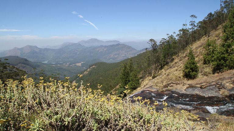 Valleys of Western Ghats | Munnar