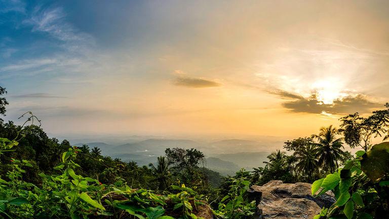 Vazhamala, Kannur