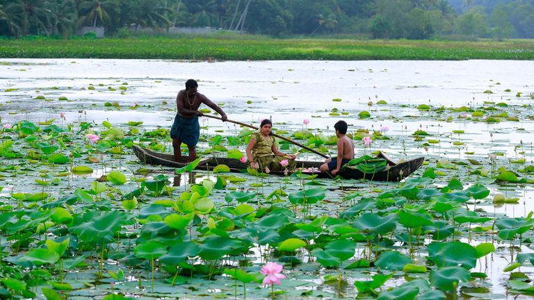 Vellayani Lake