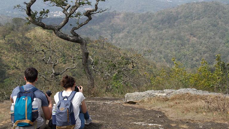 Visual treat - the Clouds Walk | Periyar Tiger Reserve