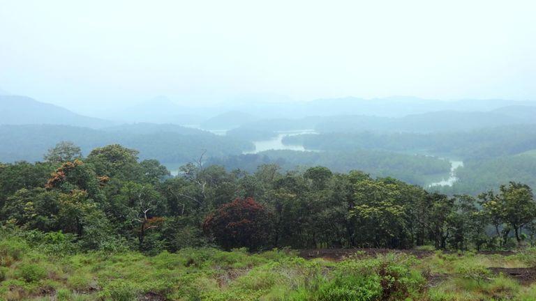 Waters of Neyyar, view from Kottur | Kottur