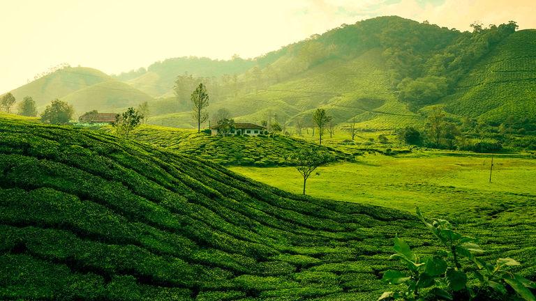 Munnar