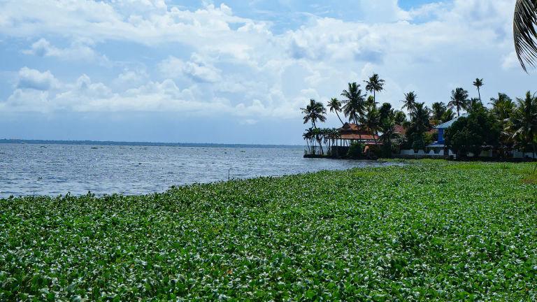 Vembanad Lake, Kumarakom