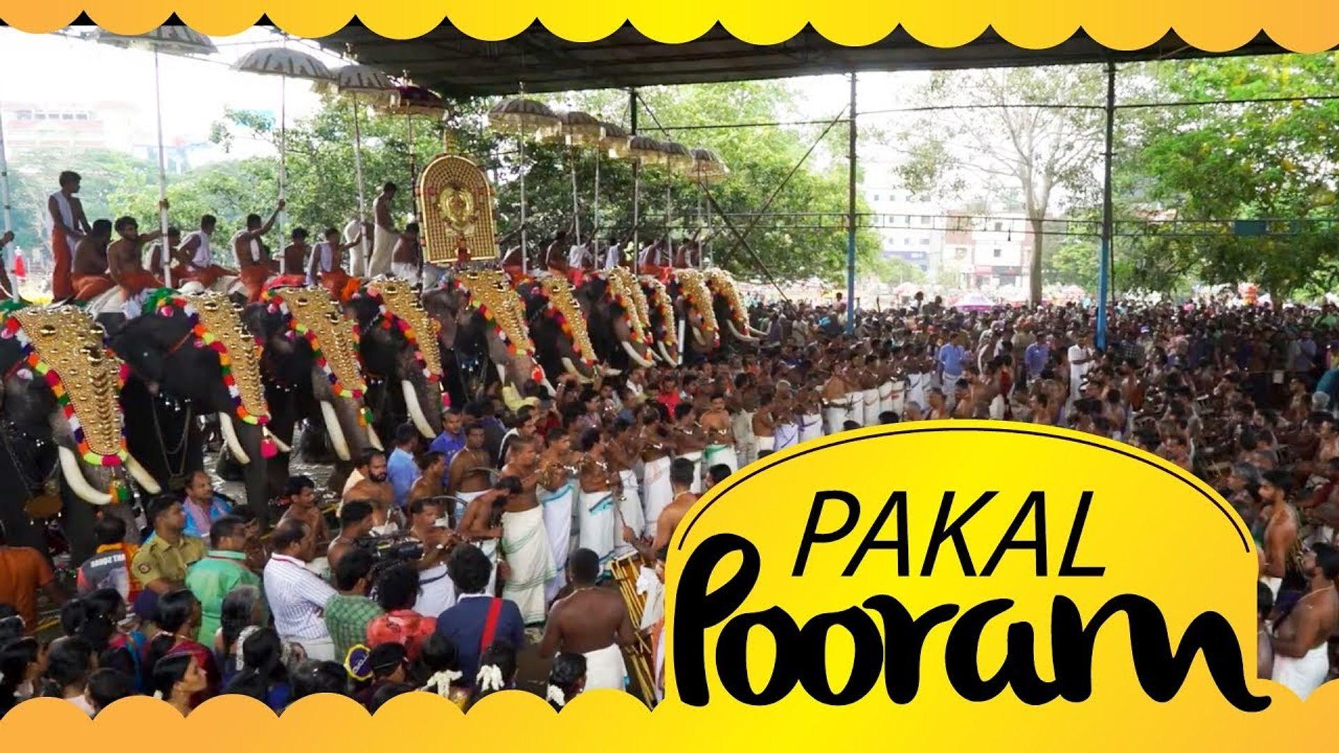 Pakal Pooram of Thrissur Pooram