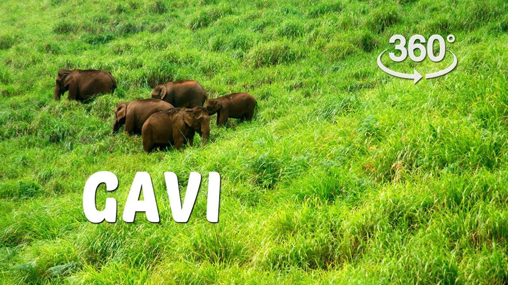 Gavi | 360° Video