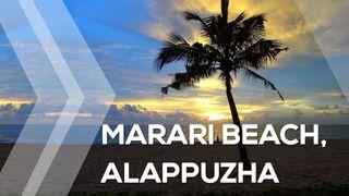 Marari beach