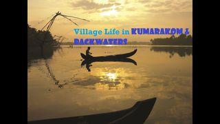 Kumarakom Backwaters