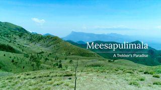 Meesapulimala