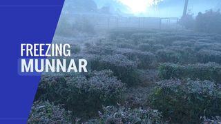 Frost-covered Munnar