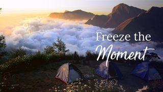 Camping in Munnar