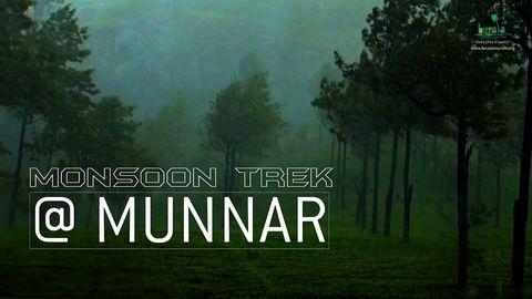 Munnar - The Tea Capital