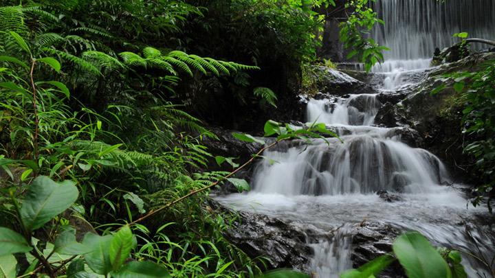 Chethalayam Falls, a seasonal waterfalls near Sulthan Bathery in Wayanad 