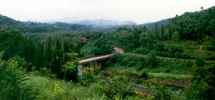 Green destination in Kozhikode, Janakikad Ecotourism 