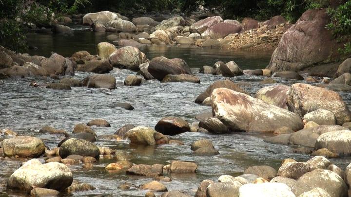 Kallar - an ideal spot for trekking on the way to Ponmudi 