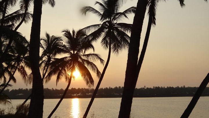 Kavvayi Backwaters - Malabar's own backwaters in Payyannur, Kannur 