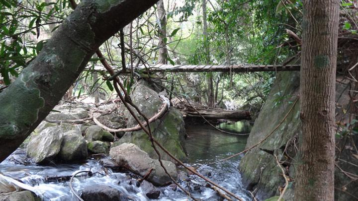 Meenvallam Waterfalls in Palakkad 