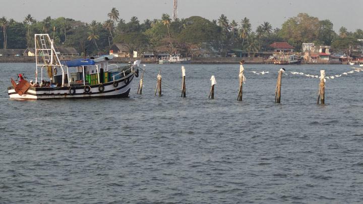 Munambam Beach at Kochi, Ernakulam 