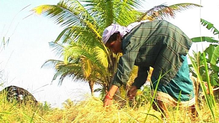 Navara Eco Farm at Chittur, Palakkad 