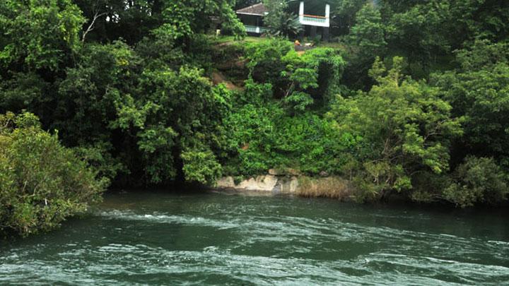 Nedumkayam Rainforest at Nilambur, Malappuram 