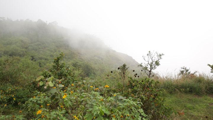 Pandikuzhi - a photographer's delight near Thekkady, Idukki 