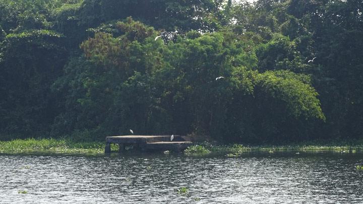 Pathiramanal, a small island on the backwaters of Alappuzha, Alleppey 