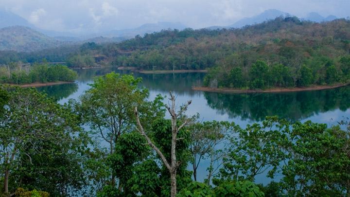 Peppara Wildlife Sanctuary near Ponmudi in Thiruvananthapuram 