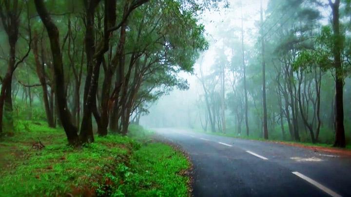 Ponmudi Hills in Thiruvananthapuram 