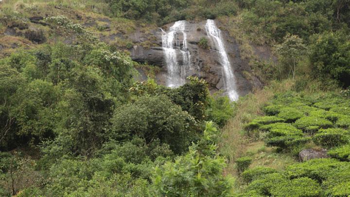 Power House Waterfalls at Munnar in Idukki 