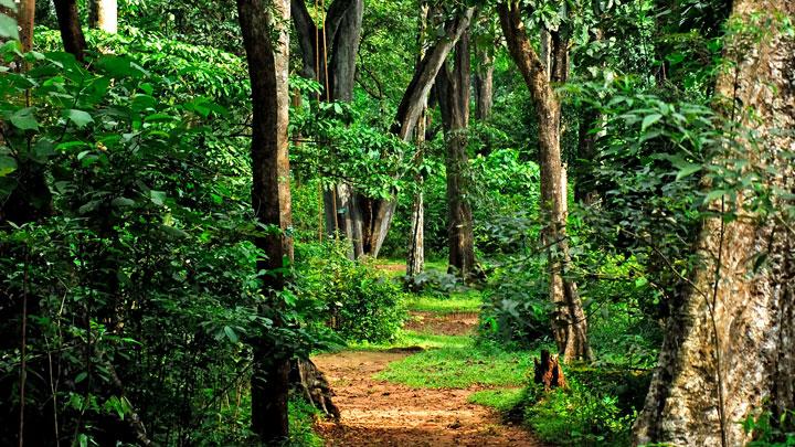 Shendurney Wildlife Sanctuary & Trekking and Camping programmes at Kollam 