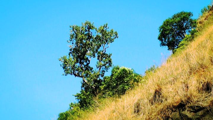 Silent Valley National Park - Trekking and Camping 