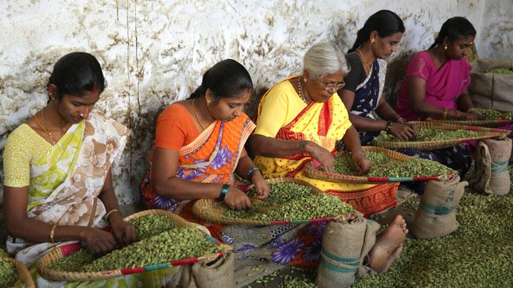 Vandanmedu - world's largest auction centres for cardamom, Kumily, Idukki 