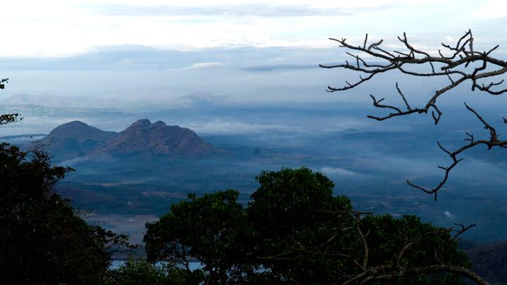 Pakuthipaalam - an ideal trekking spot in the Western Ghats at Palakkad 