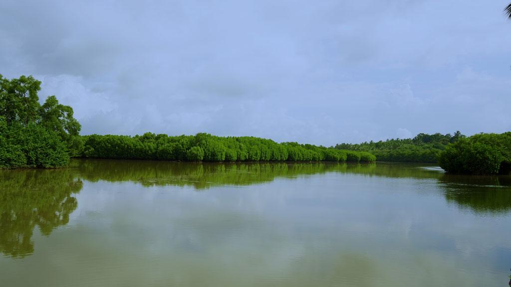 Kumbla Estuary & Mangrove Forest 