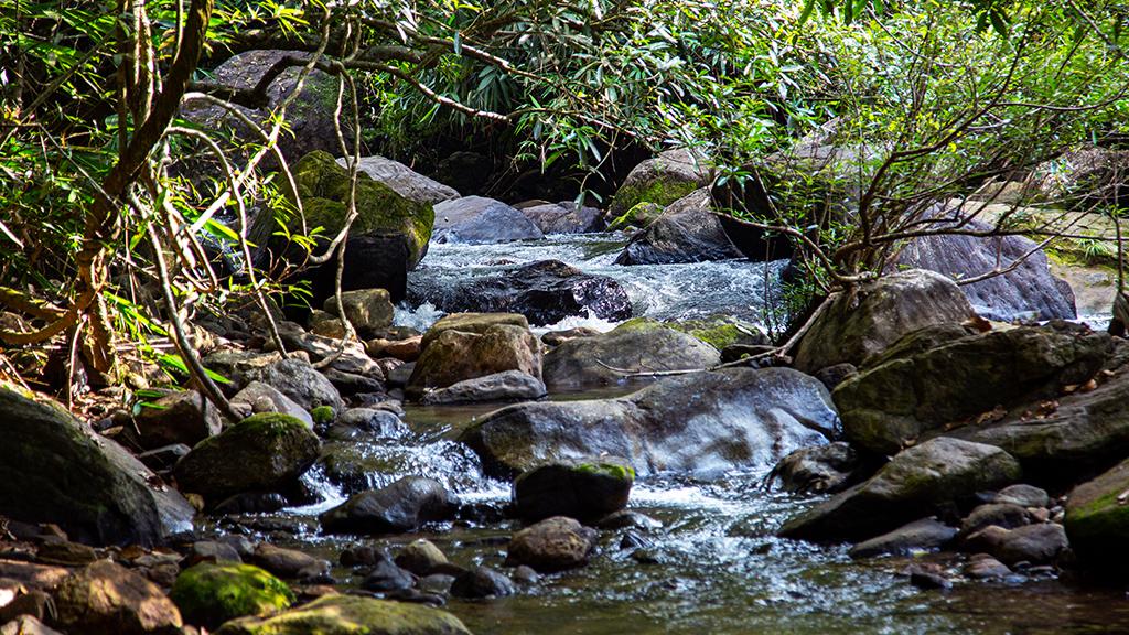 Meenvallam Waterfalls 