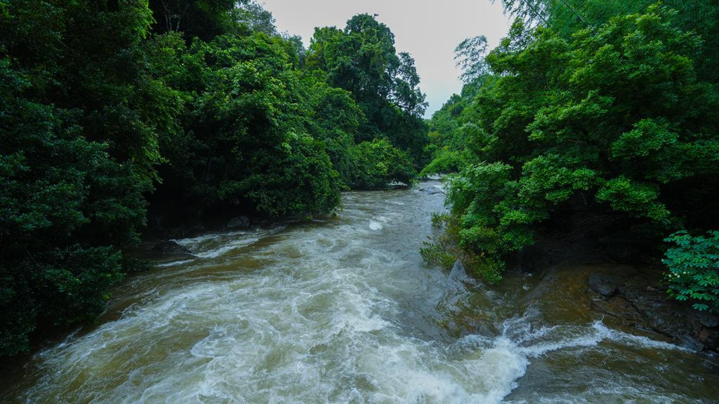 Moolepadam Waterfalls 