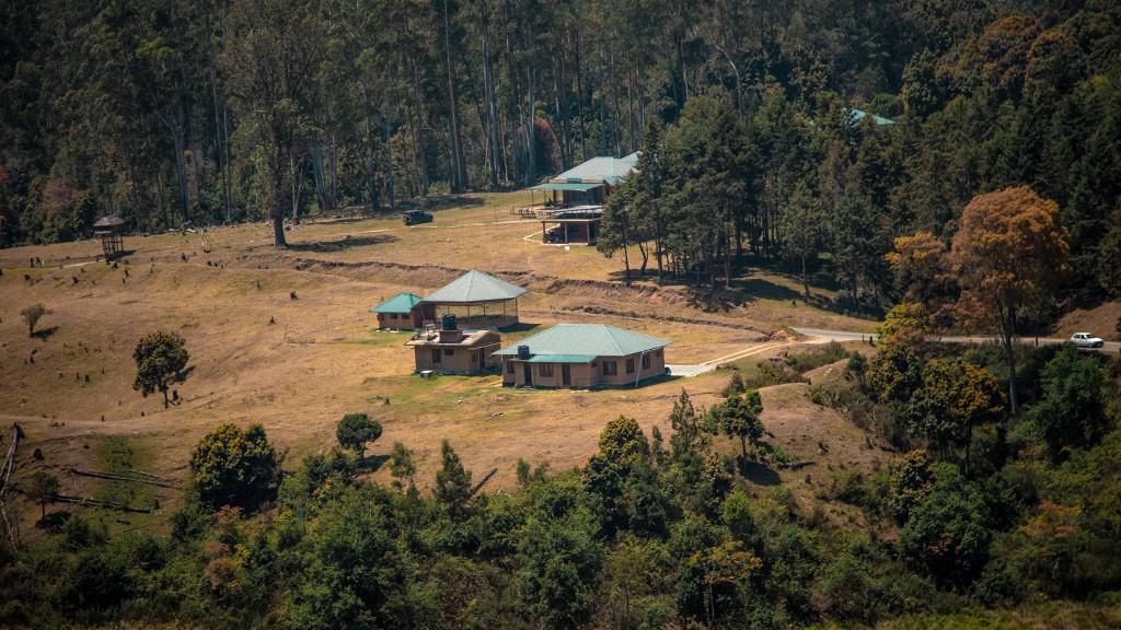 Pampadum Shola National Park 