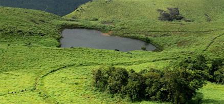 Village tour by Kerala Tourism to Nellarachal Wayanad as part for Responsible tourism, Kerala 