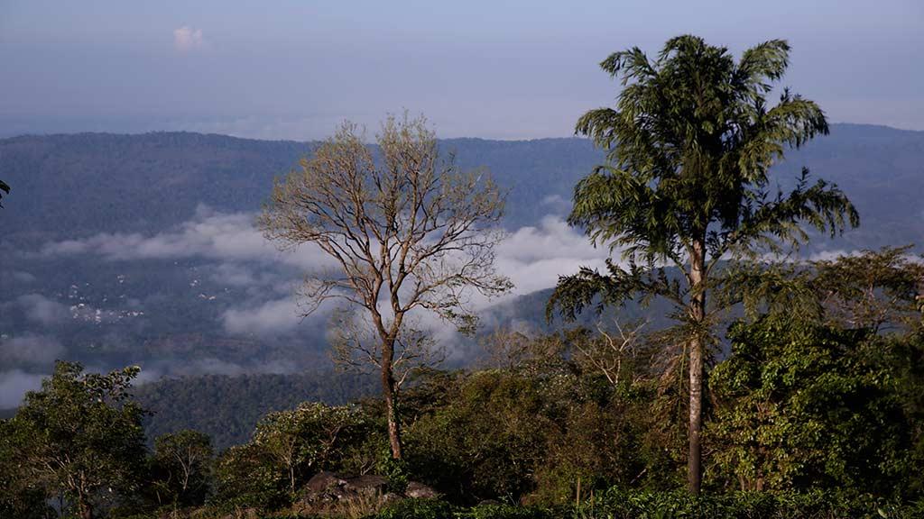 Urumbikkara – A captivating castle of greenery 