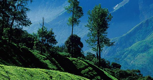 Munnar, Hill station, Idukki, Kerala, India